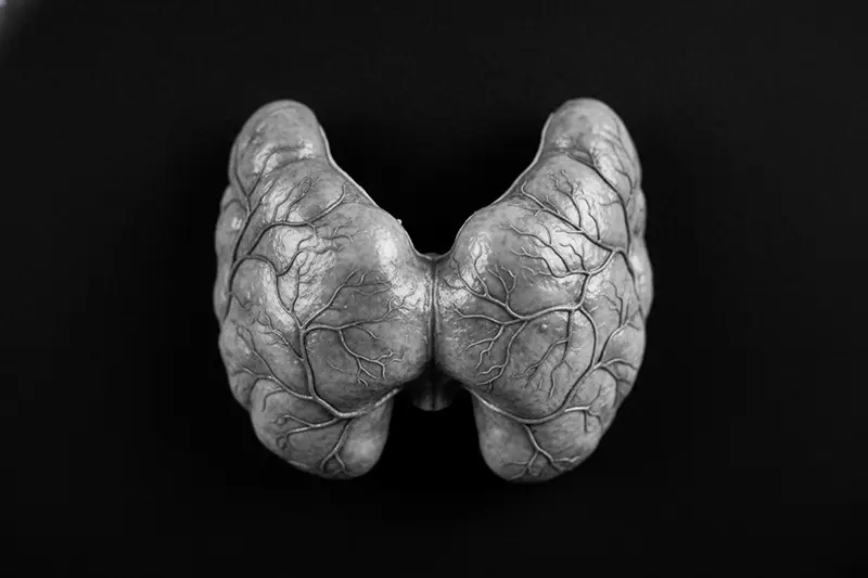 Invloed van hypnose op de schildklier